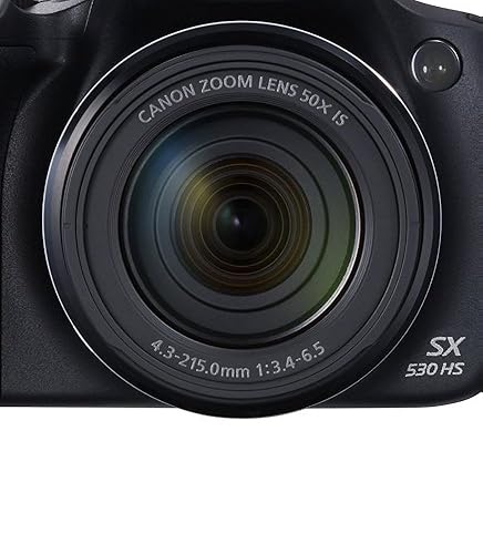 Amazon.com : Canon PowerShot SX530 HS 16.0 MP CMOS Digital Camera