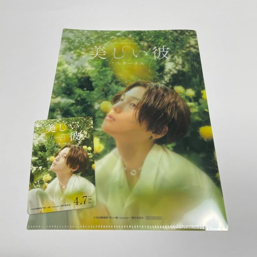 Amazon.co.jp: 八木勇征 クリアファイル : おもちゃ