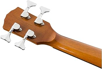 Amazon.com: Fender CB-60SCE Acoustic Bass, with 2-Year Warranty