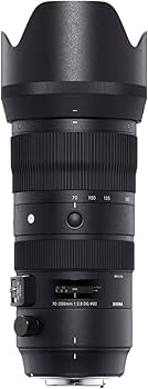 Amazon.co.jp: シグマ(Sigma) レンズ 70-200mm F2.8 DG OS HSM Nikon