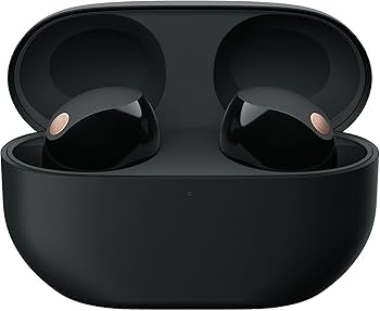 Amazon.com: Sony WF-1000XM5 Premium Noise Cancelling Truly