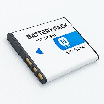 Amazon.com : Rechargeable Li-ion Battery (2-Pack) for Sony