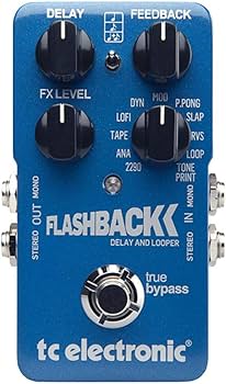Amazon | tc electronic Flash Back DELAY & LOOPER ギター