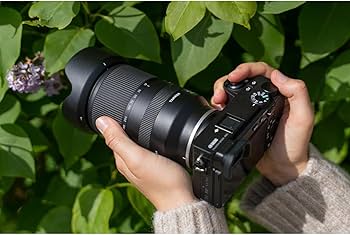 Amazon.com : Tamron 18-300mm F/3.5-6.3 Di III-A VC VXD for