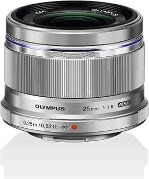 61CfB3b871L._AC_UF350,