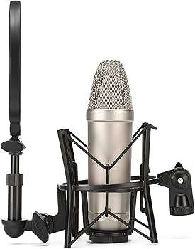 Amazon | RODE Microphones ロードマイクロフォンズ NT1-A