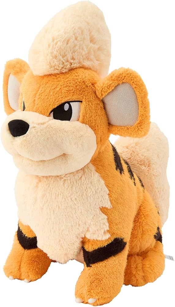 61E+0miMf7L._AC_UF894,