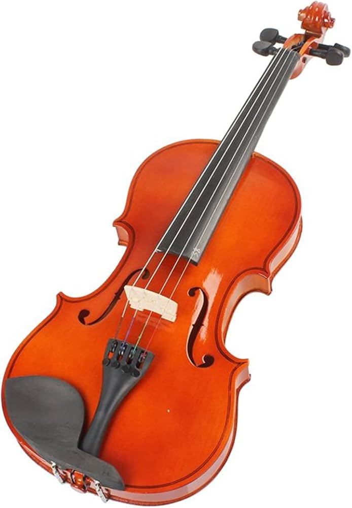 Amazon.co.jp: バイオリント子供用 4/4バイオリンフルサイズの自然な