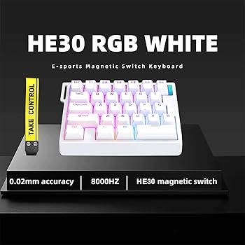 Amazon.com: HE30 Rapid Trigger Magnetic Switch Gaming Keyboard,One