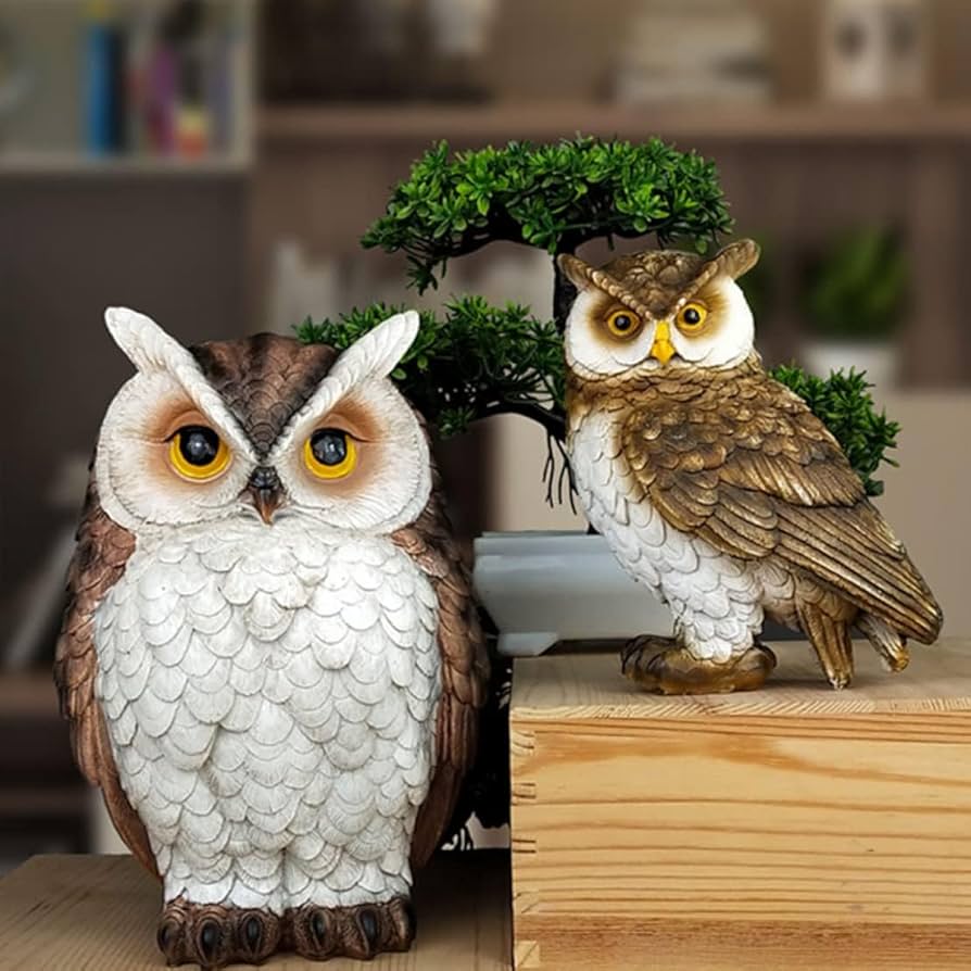 61ITtQF9-3L._AC_UF894,