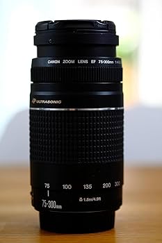 Amazon.com : Canon EF 75-300mm f/4-5.6 III Telephoto Zoom Lens for