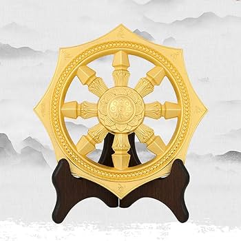 61JrzkoAEsL._AC_UF350,