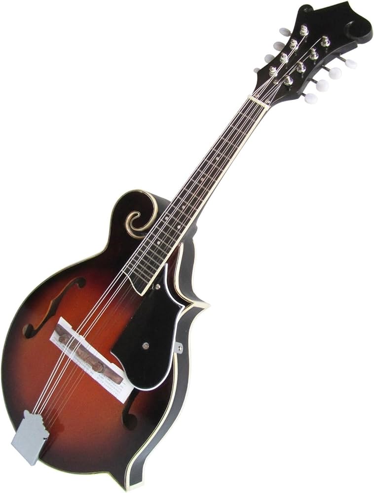 Amazon | マンドリン楽器 F字型 8弦ギター マンドリン チベット楽器 F