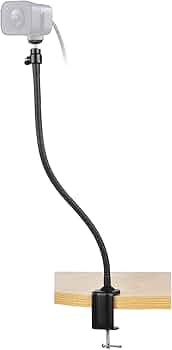 61MDZZ4YIhL._AC_UF350,