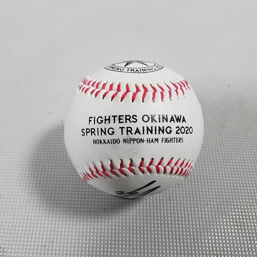 Amazon.co.jp: 北海道日本ハムファイターズ 河野竜生投手直筆サイン