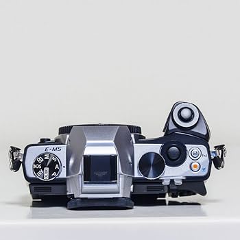 Amazon.com : OM SYSTEM Olympus OM-D E-M5 16MP Live MOS