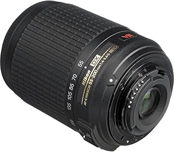 Amazon.com : Nikon 55-200mm f/4-5.6G ED IF AF-S DX VR [Vibration