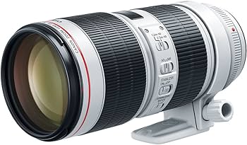 Amazon.co.jp: キヤノン EF70-200mm F2.8L IS III USM EF70-200LIS3