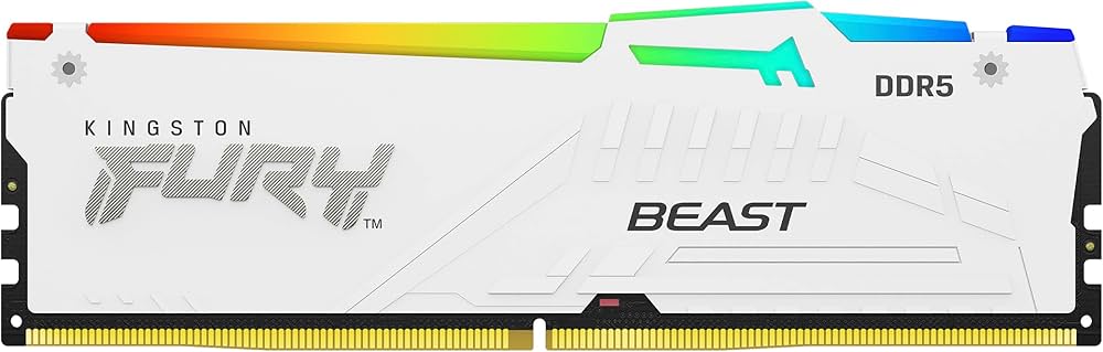 Amazon | Kingston (キングストン) FURY Beast (フューリービースト