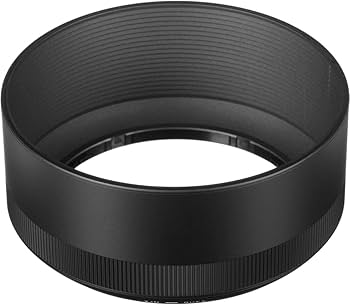 Amazon.com : Sigma 30mm F1.4 Art DC HSM Lens for Nikon : Digital