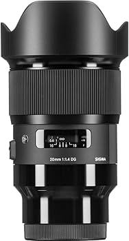 Amazon.com : 20mm F1.4 Art DG HSM for Sony E : Electronics