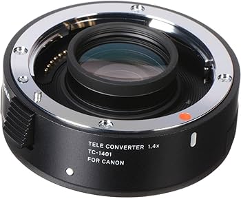 Amazon.co.jp: シグマ(Sigma) レンズ 150-600mm F5-6.3 DG OS HSM