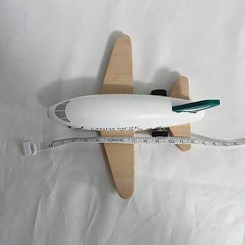 Amazon.co.jp: () キャセイパシフィック航空 木製 飛行機モデル Cathay