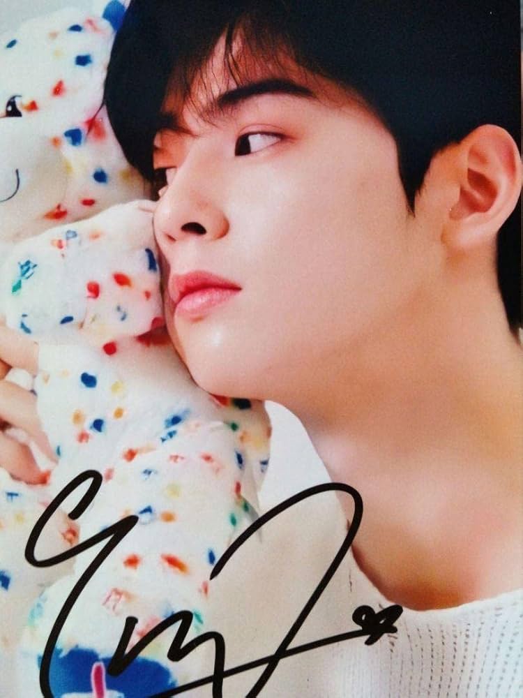 Amazon.co.jp: チャウヌ直筆サイン入り2Lサイズ写真…Cha Eun-woo