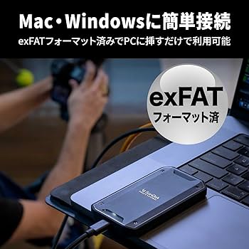 Amazon | サンディスクプロフェッショナル 外付け ポータブルSSD 4TB