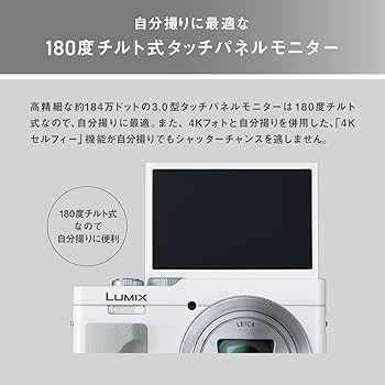 Amazon.com : Panasonic LUMIX TZ/ZS99 Point and Shoot Camera
