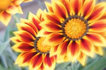 Amazon | ※当店KING-2オリジナル改造レンズ※【bokeh撮影専用】MC