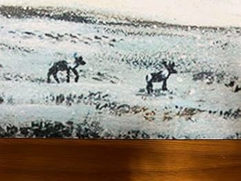 Amazon.co.jp: Tundra MTG Playmat : Toys & Games