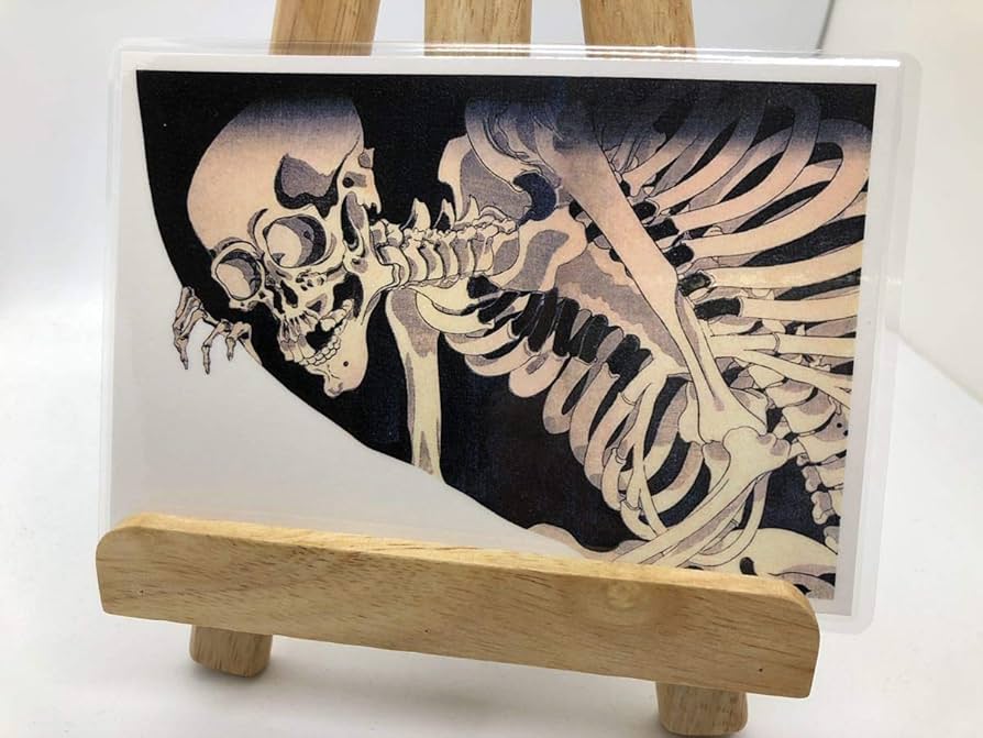 Amazon.co.jp: 髑髏シリーズ ポストカード 3枚セット ラミネート加工