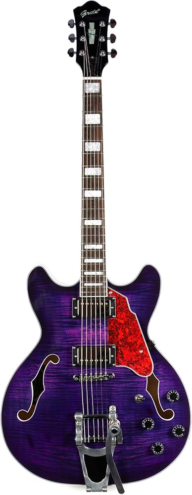 Amazon | GROTE 335 style Jazz Electric Guitar with Bigsby Semi
