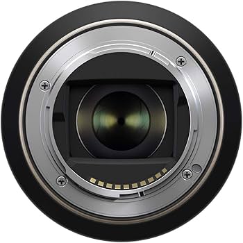 Amazon.com : Tamron 17-70mm f/2.8 Di III-A VC RXD Lens for Sony E