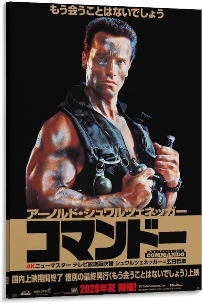 Amazon.co.jp: アーノルド・シュワルツェネッガー主演素晴らしい映画