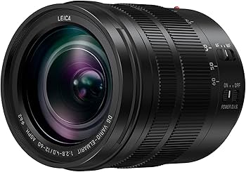 Amazon.com : Panasonic LUMIX Professional 12-60mm Camera Lens