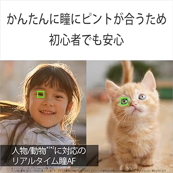 Amazon.com : Sony Alpha a6400 Mirrorless Camera Double Zoom Lens