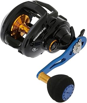 Amazon.co.jp: AbuGarcia (アブガルシア) OCEANFIELD BG 右巻き パワー