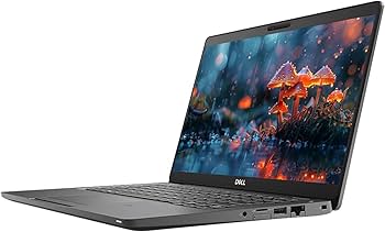 Amazon.com: Dell Latitude 5300 13.3