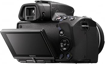 Amazon | SONY デジタル一眼レフ α33(ボディ単体) ブラック SLT-A33