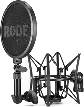 Amazon | RODE Microphones ロードマイクロフォンズ NT1 + AI-1