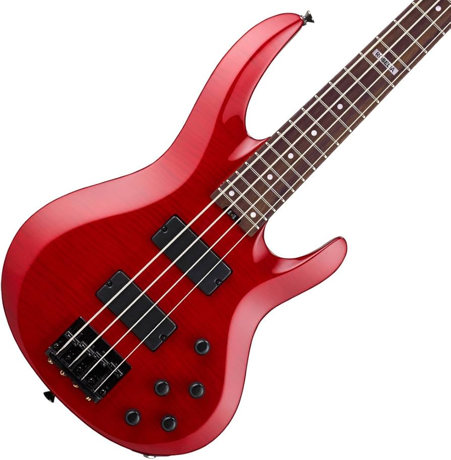 Amazon | ESP x バンドリ！ BTL LISA BanG Dream! Roselia 今井