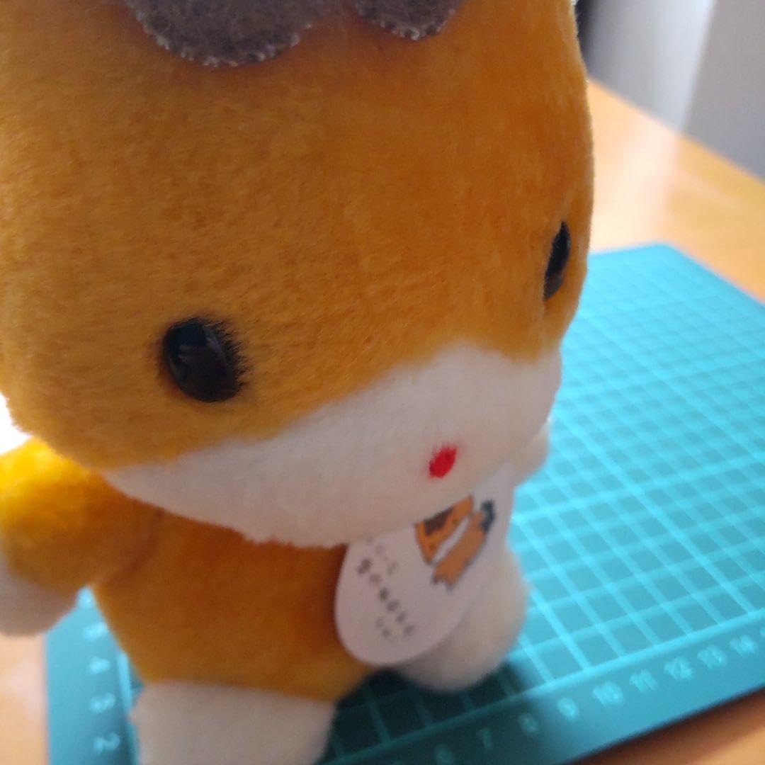 Amazon.co.jp: ぐんまちゃん ゆうまちゃん ぬいぐるみ : おもちゃ