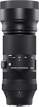 Amazon.co.jp: シグマ(Sigma) レンズ 100-400mm F5-6.3 DG DN Sony
