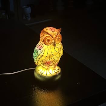Amazon.co.jp : Yinhamnl レトロ ステンドグラス フクロウ ナイト