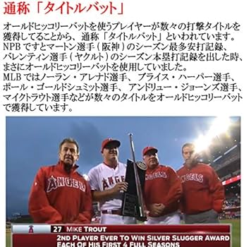 Amazon | オールドヒッコリー 木製バット AR13モデル 33.0インチ 硬式