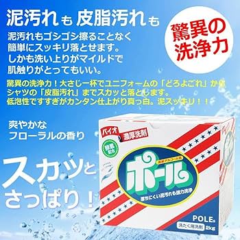 Amazon.co.jp: バイオ濃厚洗剤 ポール 4kg つけおき用保存袋2枚付き