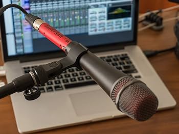 Amazon | sE Electronics DM1 DYNAMITE アクティブインラインマイク
