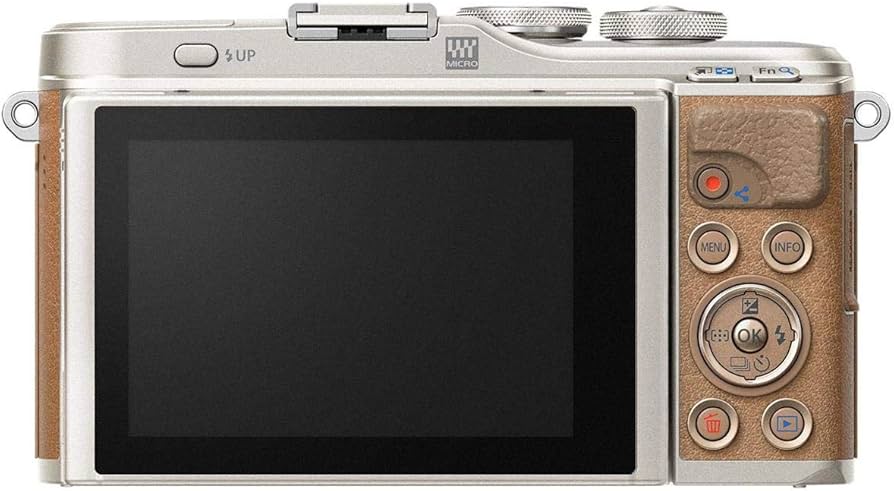 Amazon.com : OM SYSTEM OLYMPUS PEN E-PL9 Body only with 3-Inch LCD